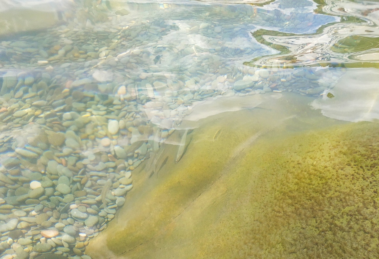 Отдых в Крыму в сентябре в Поповке 