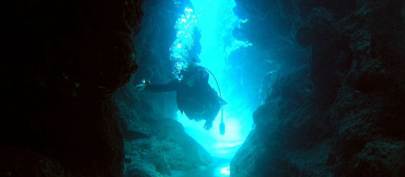 Активный отдых на Западном побережье Крыма – дайвинг