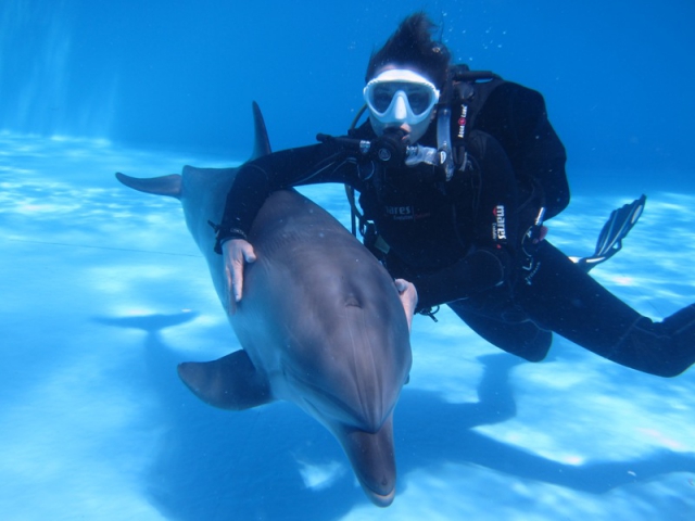 Тарханкут дайвинг