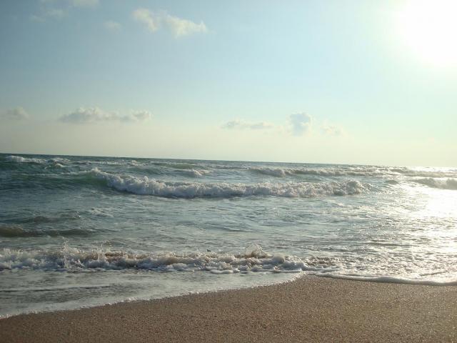 Отдых в Крыму для молодежи