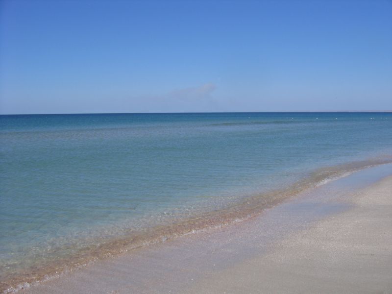 окрестности поповки